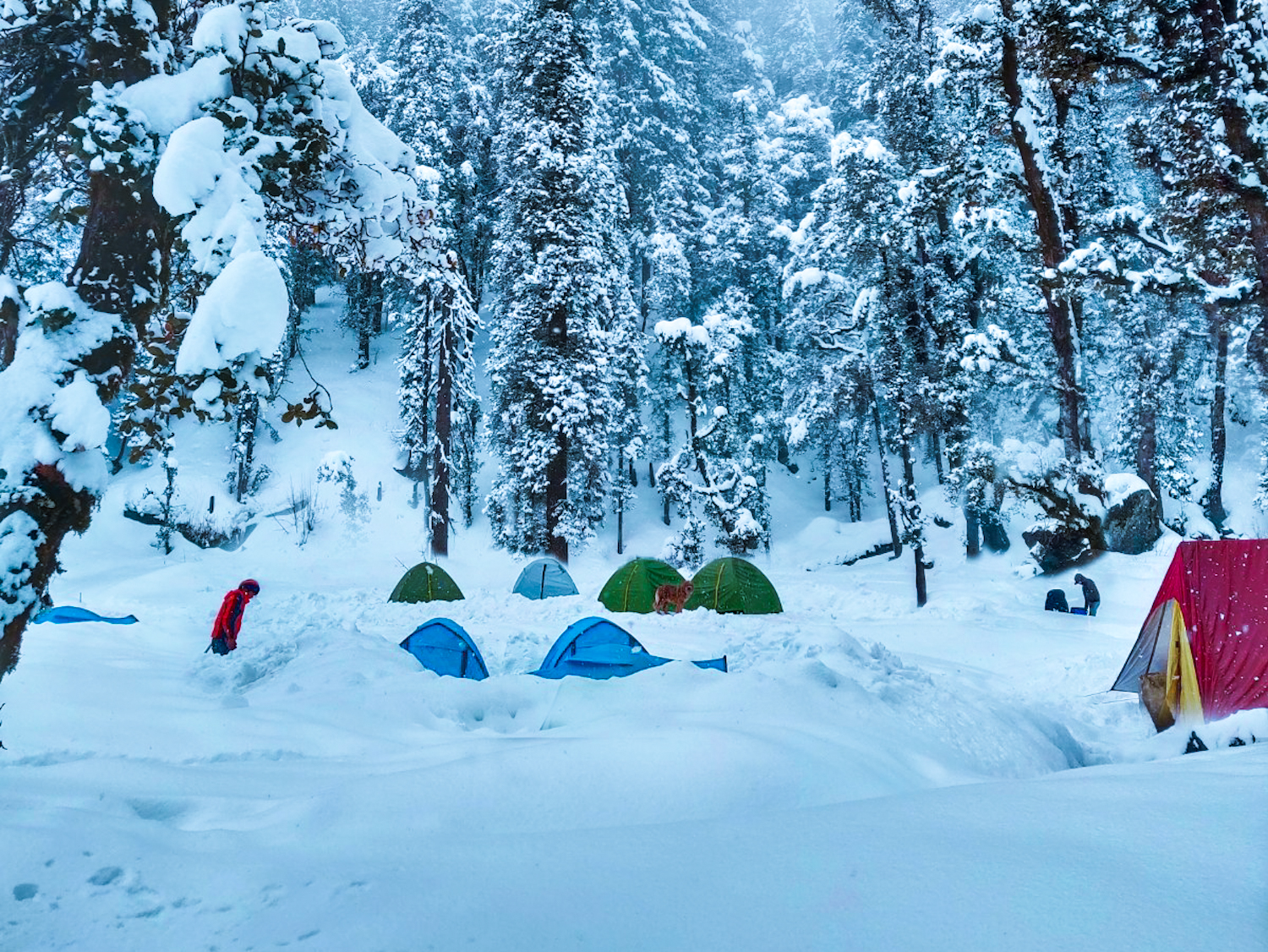 Travel group enjoying a mountain route